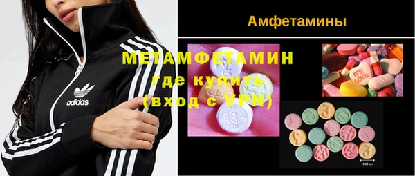 ГАЛЛЮЦИНОГЕННЫЕ ГРИБЫ Козловка