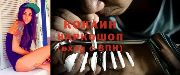 ГАЛЛЮЦИНОГЕННЫЕ ГРИБЫ Козловка