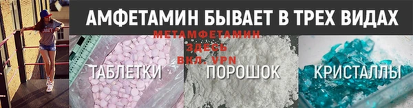 ГАЛЛЮЦИНОГЕННЫЕ ГРИБЫ Козловка