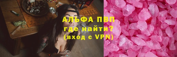 ГАЛЛЮЦИНОГЕННЫЕ ГРИБЫ Козловка