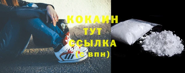 прущие крисы Кодинск
