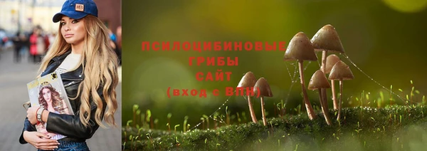 прущие крисы Кодинск