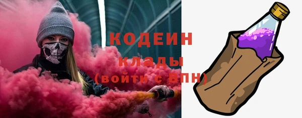 ГАЛЛЮЦИНОГЕННЫЕ ГРИБЫ Козловка