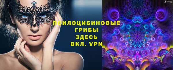 хмурый Козельск