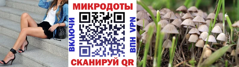 Галлюциногенные грибы прущие грибы  Купить закладки  Павловск 